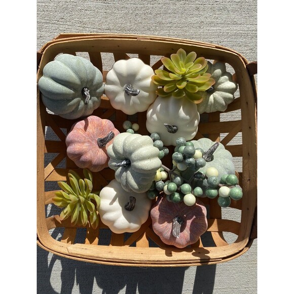 Fall Autumn Thanksgiving Gourds Succulents Pumpkin Bowl Fillers Berries Tabletop - Picture 2 of 6